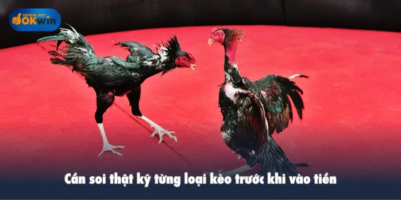 Cần soi thật kỹ từng loại kèo trước khi vào tiền