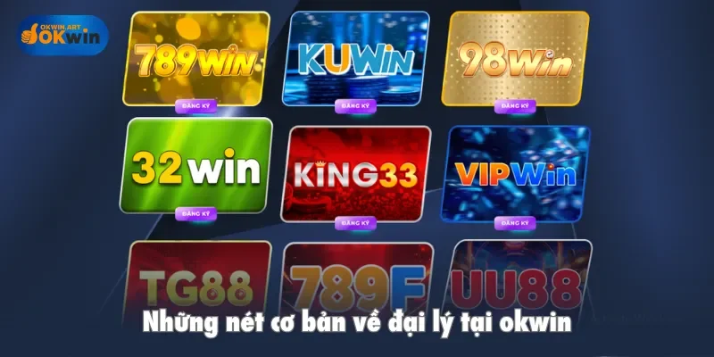 Những nét cơ bản về đại lý tại okwin