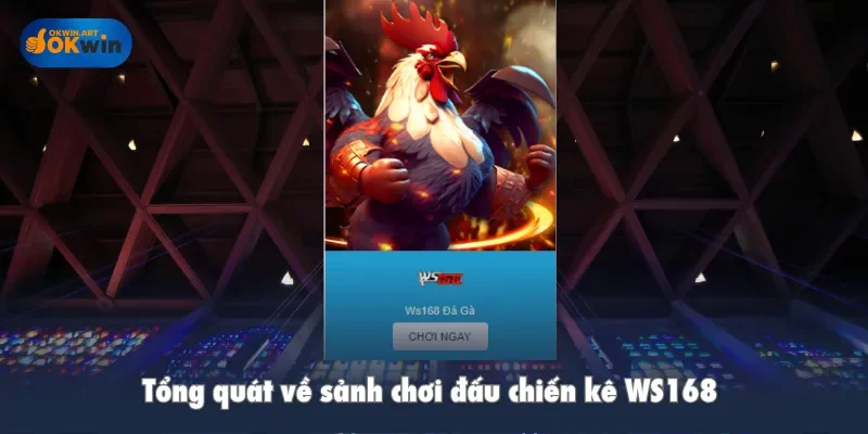 Tổng quát về sảnh chơi đấu chiến kê WS168