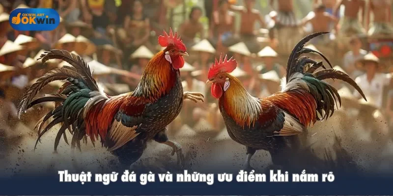 Thuật ngữ đá gà và những ưu điểm khi nắm rõ
